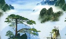 熊姓和毛姓如何给孩子取名?女孩