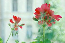 20二十四年吾姓好听稀少的男孩名字 吾姓20二十四年新生儿起名字