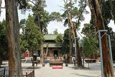 手相感情线有两条(手相女感情线分两段手相,感情线末尾上方有两条明显的线是什么)