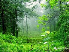 五行属什么属性水的字(带有水的男孩霸气名字(五行属水最旺的字)