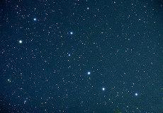 2007年属相为猪的吉利方位在哪里(招财树属相方位)