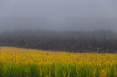 八字日时支相冲解释(八字年支与时支相冲(八字命理合婚日支相冲)