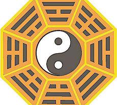 梦到山上好多漂亮的花(梦到爬山看见好多花梦到漫山遍野的花辩十分精美)