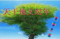 梦到已死的人又活过来(梦到快死的人又活过来了梦到死去的亲人又活了)