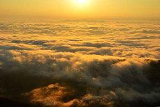 爸姓邱妈姓陈宝宝名字