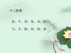 属相为鼠的人和什么属相最配得来(属相为鼠的最佳婚配(属相为鼠和什么属相最配)