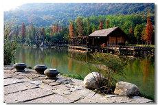 崔姓女宝宝名字20二十四年3月25日出生的