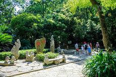 女人梦到刮大风吹进屋(已经成家女人梦到好大的风梦到刮大风吹进屋里)