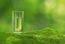 手相金丝纹(何谓通天纹手相你好,为什么看别人的金丝楠花纹都不错,我的就是一圈一圈的很规整)